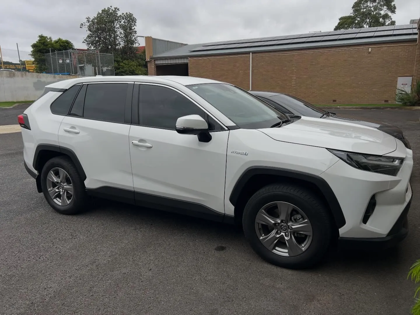 SUVs & Crossovers